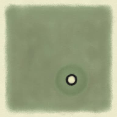 a black dot with a white dot on a green background